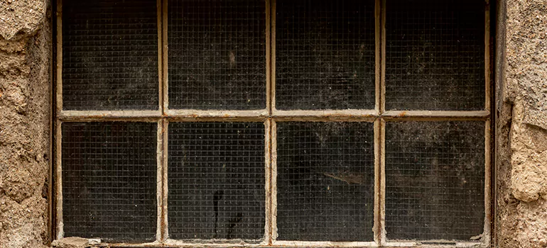 Traditional Double Front Doors in Safety Harbor, FL