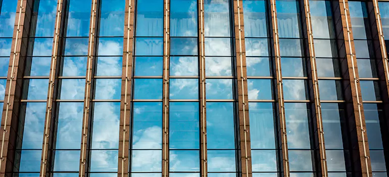 Professional Window Tinting Services in Safety Harbor, FL