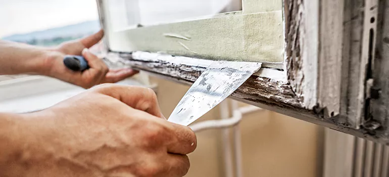 Exterior Window Frame Repair in Safety Harbor, FL