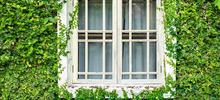 Garden Window Repair Near Me in Safety Harbor, FL