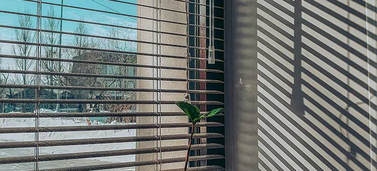 Commercial Window Blinds in Safety Harbor, FL