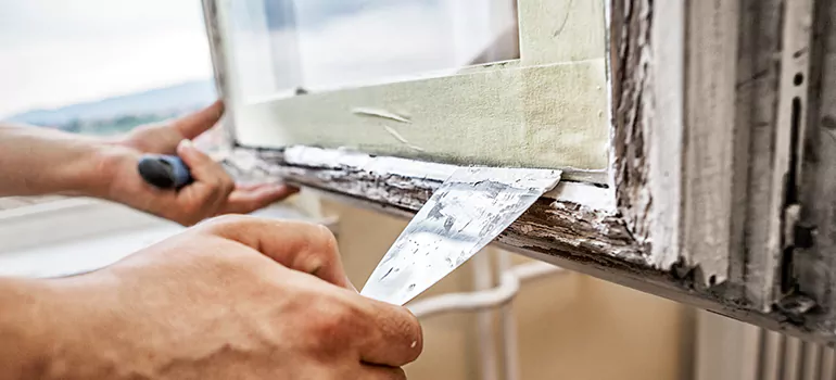 Custom Window Insulation Solutions in Safety Harbor, FL