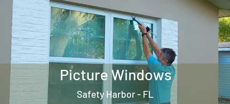  Picture Windows Safety Harbor - FL