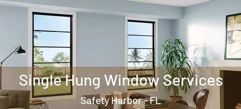  Single Hung Window Services Safety Harbor - FL